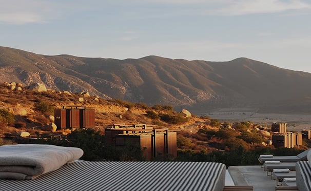 Portfolio Management